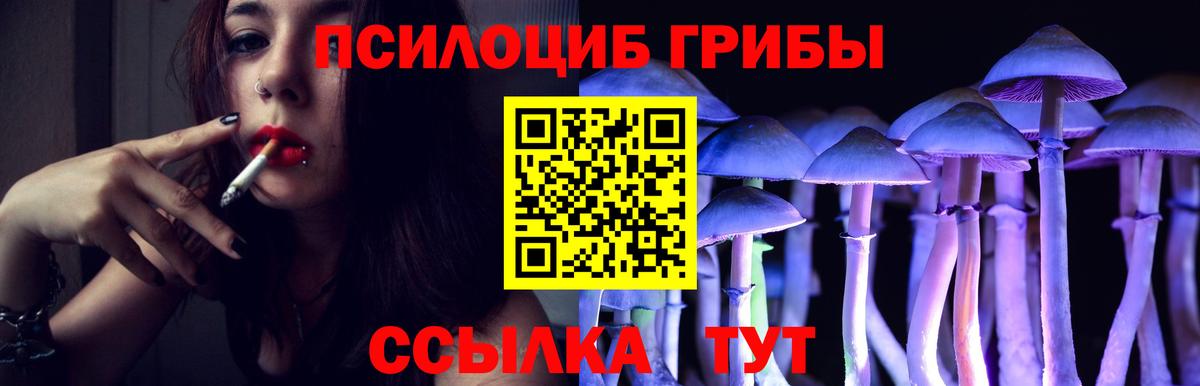 Псилоцибиновые грибы мухоморы  Вход с VPN  Северск  Псилоцибиновые грибы Psilocybine cubensis 